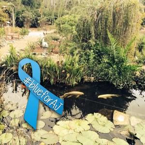 Meet your Posher, Marianne